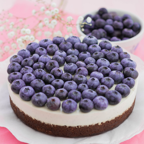 Vegan Raw Blueberry Cheesecake