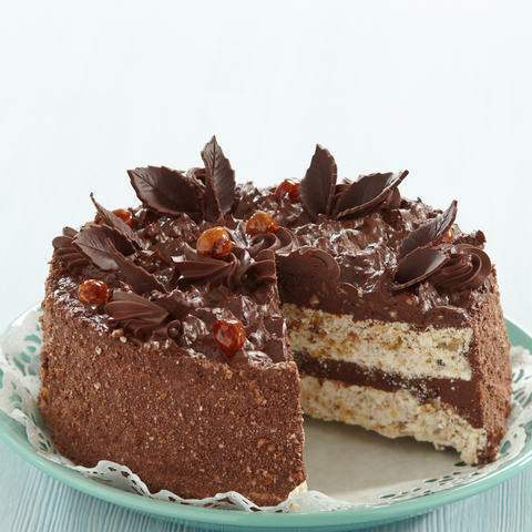 Chocolate Hazelnut Cake 