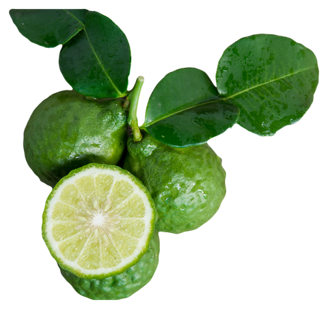 Citrus bergamot for cholesterol