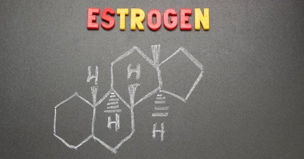 Estrogen molecule