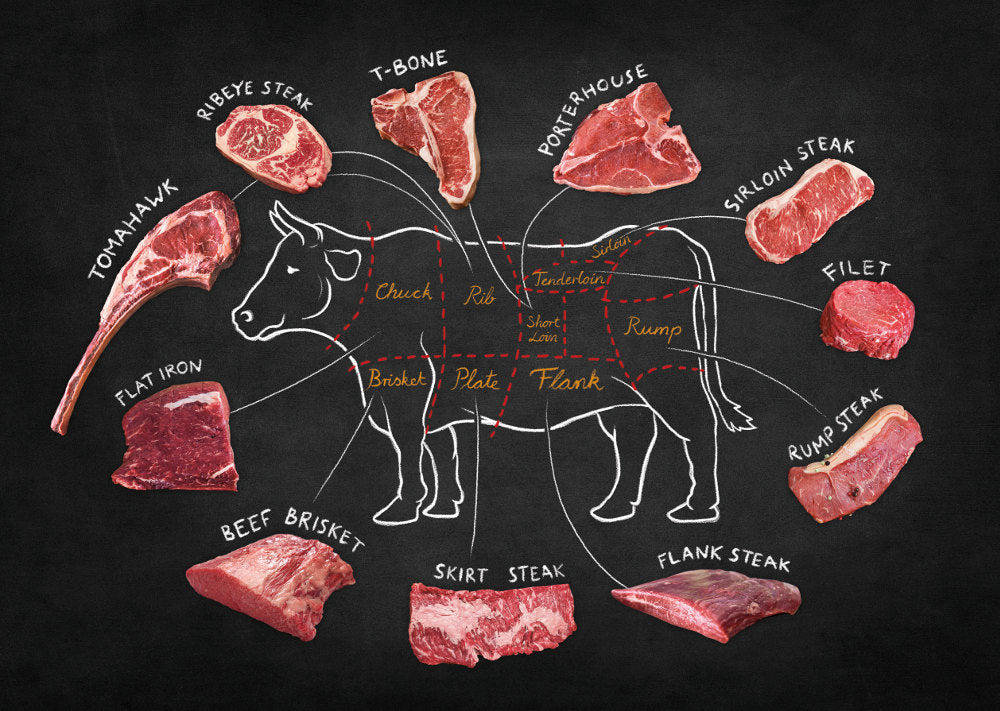 Angus Beef Cut Chart (Large) – Angus Supply Store