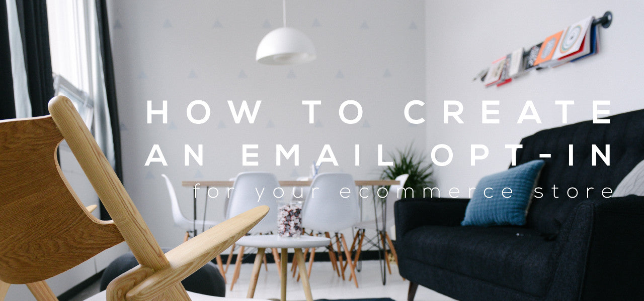 how to build an ecommerce email opt in bonus