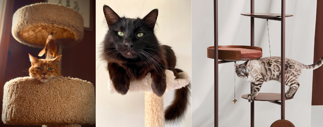 Comment Fabriquer Un Arbre A Chat Boutique Du Chat Noir