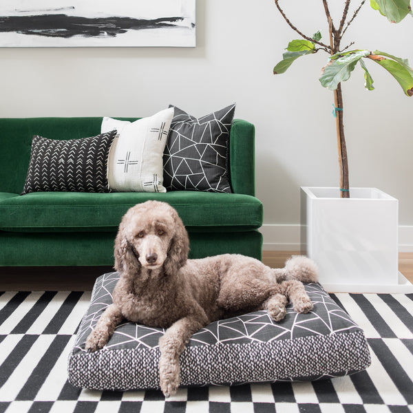 Janery Emerald Charlie Cushion The Best Dog Bed