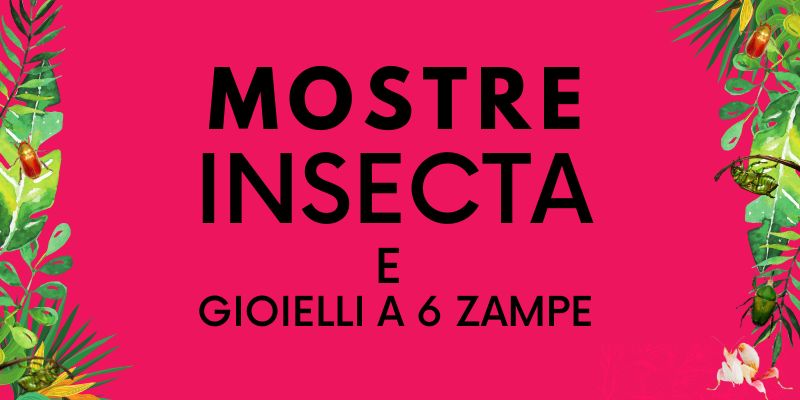 MOSTRE INSECTA E GIOIELLI CON 6 ZAMPE