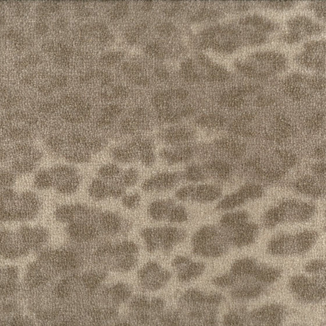 Animal Print Carpet: Leopard Cheetah Zebra | Landry & Arcari
