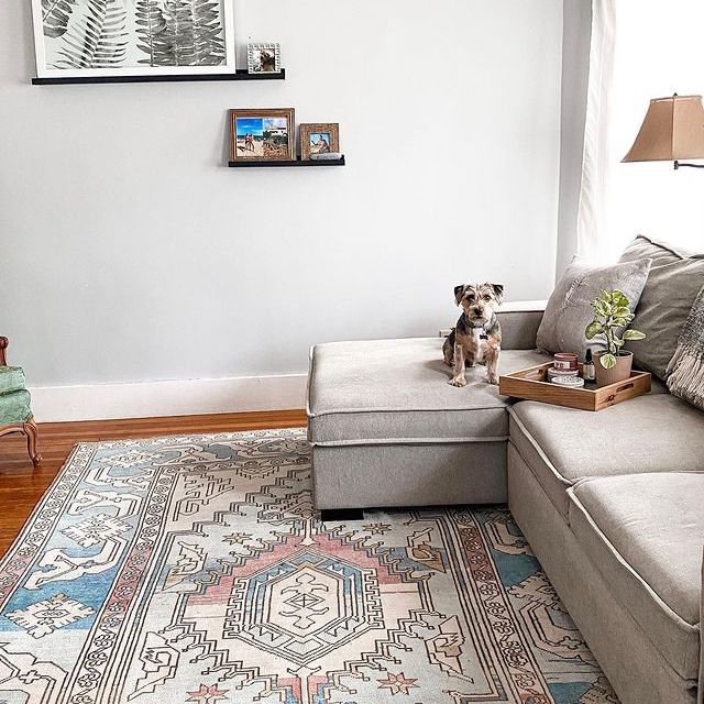 medium room size rug in living room