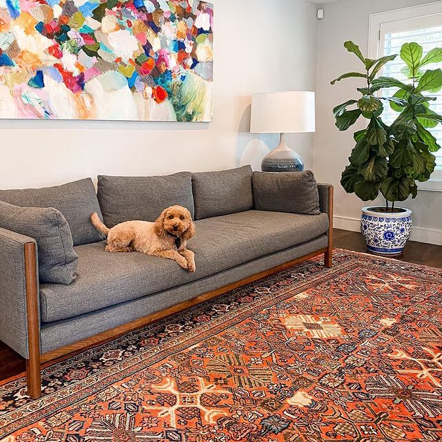 traditional area rug in living room