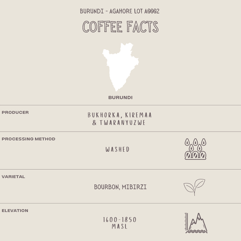 Image shows coffee infographic for specialty coffee Burundi Agahore Lot A0002