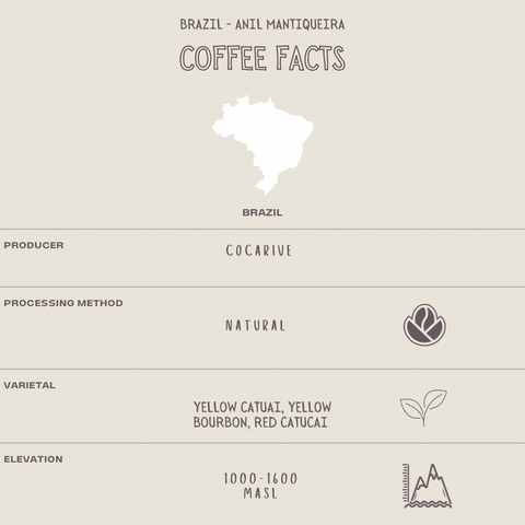 Image shows coffee facts infographic for Brazilian Anil Mantiqueira specialty coffee