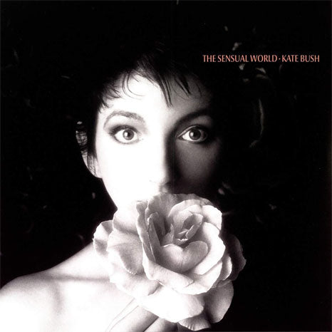 kate bush the other side 2