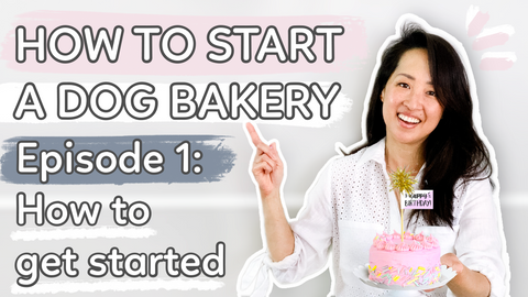 How to start a dog bakery treat business