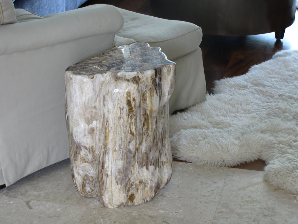 palecek petrified wood table