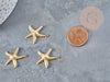 304 stainless steel gold starfish pendant 22mm, stainless steel pendant jewelry creation, X2 G4123