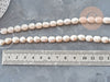 Perla de agua dulce ovalada blanca natural 8-14 mm, perla cultivada perforada, hilo de 35 cm, X1 G1937