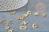 Gold steel initial letter pendant, gold pendant, nickel-free, letter pendant, initial letter, 13.5m, X1, G4301