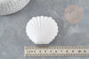 Joyero de concha de terciopelo blanco, joyero, almacenamiento de joyas, interior blanco, 3,5x3,8cm, X1 G3339