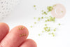 Pequeñas cuentas de semillas verdes, cuentas de semillas, verde transparente, cuentas de vidrio, cuentas, 2,5 mm, X 10 g G3667