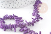 Purple coral beads, coral beads, natural coral, shell bead, purple shell, 38cm thread, X1 G0980