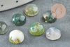 Green moss agate cabochon 8mm, round cabochon, natural moss agate, stone cabochon, moss agate, X1 G2422