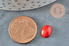 Oval red tinted coral cabochon 10x6mm, oval cabochon, natural coral, natural stone, stone cabochon, X1 G6750