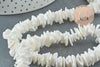 Perles coquillage naturel chips blanc, des perles en coquillage blanc ,6~12mm, le fil de 41 cm,X1G3867