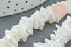 Perles coquillage naturel chips blanc, des perles en coquillage blanc ,6~12mm, le fil de 41 cm,X1G3867