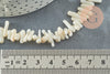 Perles en corail blanc,perles corail ,corail naturel,perle coquillage,coquillage blanc,fil 40cm, X1 G0985