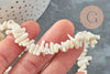 Perles en corail blanc,perles corail ,corail naturel,perle coquillage,coquillage blanc,fil 40cm, X1 G0985