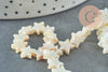 Natural white iridescent mother-of-pearl star bead, mother-of-pearl star, star pendant, white shell, 8-9mm, 39cm wire, X1 G6611