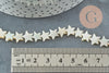 Perle etoile nacre blanche naturelle irisée , étoile nacre, pendentif étoile, coquillage blanc,8-9mm, le fil de 39cm, X1G6611