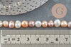 Multicolored natural pearl, oval pearl, pierced pearl, cultured pearl, freshwater pearl, 37cm 6-7mm, X1 G1938