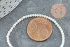 perla de nácar blanca redonda, perlas de concha, perla de nácar redonda, concha natural, alambre de 40 cm, 2,5 mm, X1 G5449