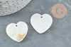 Colgante de corazón de nácar blanco natural, colgante de corazón, corazón de nácar, concha blanca, 30,5 mm, X2 G2373