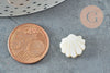 Cuentas de concha de nácar blanco natural dorado, colgante de concha de nácar, 12 mm, X2 G3653