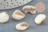 Perla de concha de pepita de nácar natural, nácar beige, concha natural, perla de concha, 18-22 mm, X5 G2650