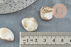 Perla de concha de pepita de nácar natural, nácar beige, concha natural, perla de concha, 18-22 mm, X5 G2650