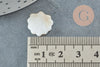 Cuentas de concha de nácar blanco natural, colgante de concha de nácar, concha blanca, 15,5 mm, X2 G3424