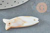 Perla de pescado de nácar blanco natural, perla de nácar de pescado, nácar de concha blanca natural, 42 mm, X2 G1055