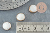 Perla redonda de nácar blanco natural, hierro dorado 13 mm, nácar blanco, perla de nácar redonda, concha blanca, X5 G0425