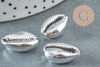 Silver cowrie shell pendant, natural shell, silver cowrie shell, jewelry creation, jewel shell, 20mm, X5 G1676