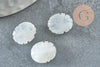 Cuenta de escarabajo piedra lunar natural AAA 13 mm, joyería de creación de cuentas talismán de piedra natural X1 - G9232