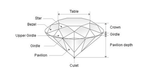 the diamond anatomy