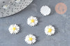 cabochon fleur marguerite en résine 13mm, fournitures à coller ornement pour cheveux et bijoux,lot de 5 G6840-Gingerlily Perles