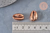 Pendentif coquillage cauris bronze 17~21mm,coquillage naturel, cauri bronze, création bijoux, coquillage bijou, coquillage, 17~21mm,les 5-G704-Gingerlily Perles