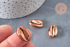 Pendentif coquillage cauris bronze 17~21mm,coquillage naturel, cauri bronze, création bijoux, coquillage bijou, coquillage, 17~21mm,les 5-G704-Gingerlily Perles