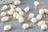 Breloque Perle d'eau douce naturelle blanche laiton et anneau acier 304 inoxydable doré 13,5~15mm,perle naturelle, l'unité G7928-Gingerlily Perles