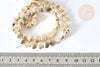 Golden hematite shell bead, non-magnetic hematite bead for stone, 8x9mm, 40cm wire, X1 G4424
