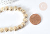 Golden hematite shell bead, non-magnetic hematite bead for stone, 8x9mm, 40cm wire, X1 G4424