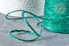 Corde de jute teintée vert 2mm, cordon pour bijoux, cordon scrapbooking, les 5 mètres G8098